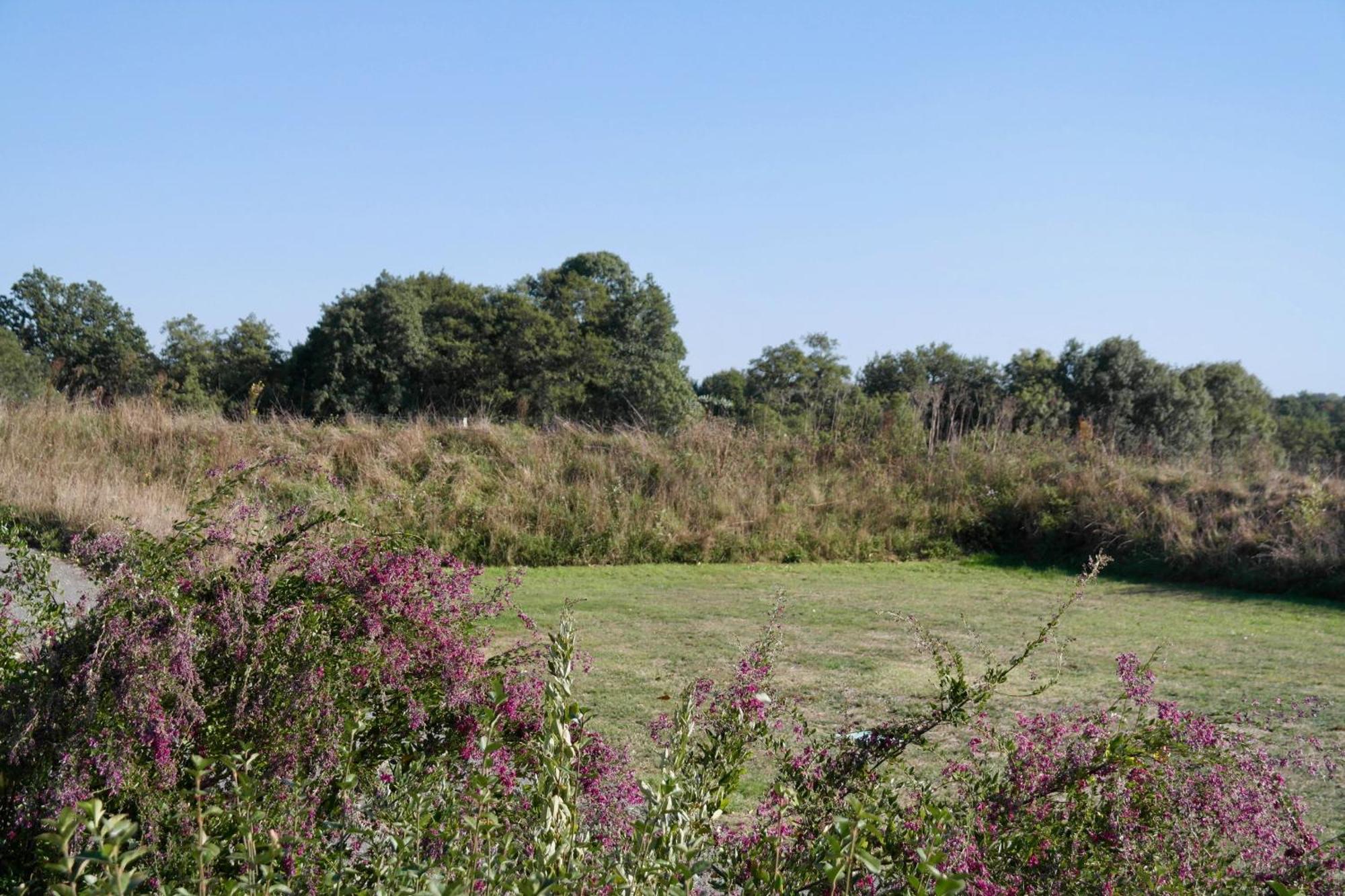 Maison De Campagne Pour 6 Avec Piscine Commequiers Exteriér fotografie